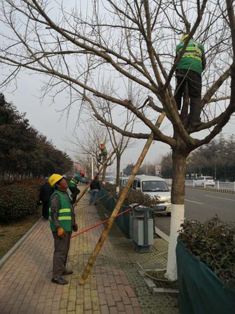 滨州公路养护
